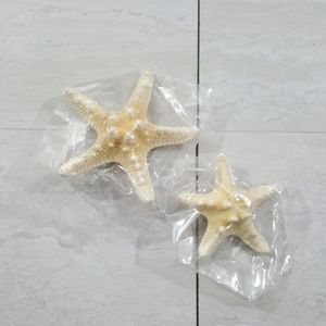 Beach 2pc Starfish Hair Clips